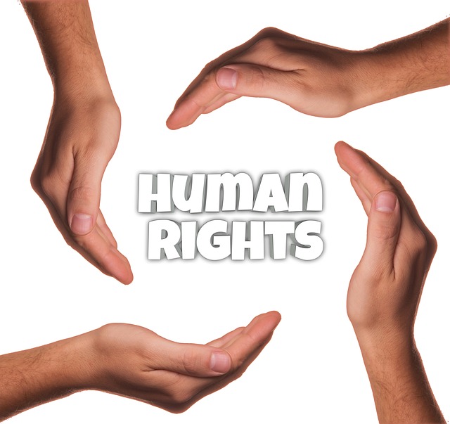 Numero di diritti umani