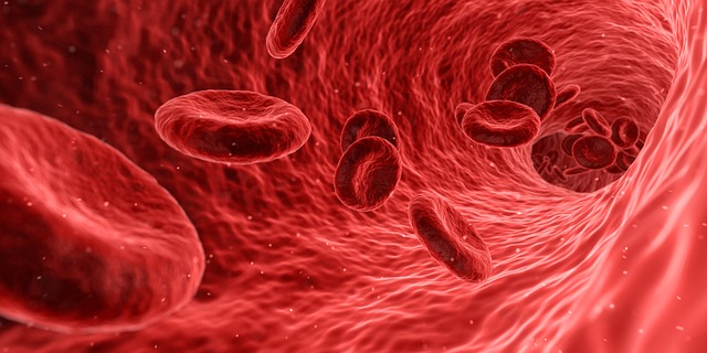 Quanti sono i globuli rossi nell'uomo