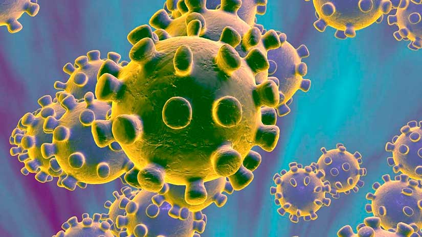 quanto sopravvive il coronavirus sui materiali